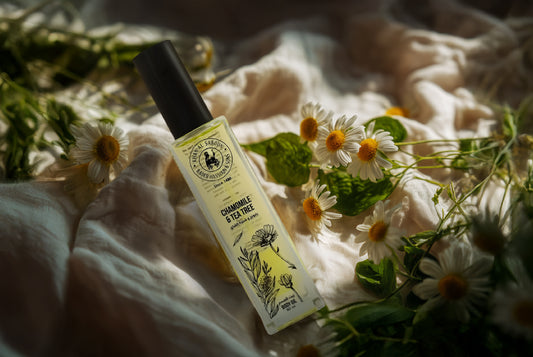 زيت الجسم العطري - بابونج وشجرة الشاي - 40 مل