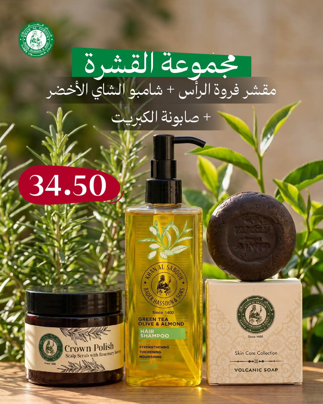 مجموعة القشرة