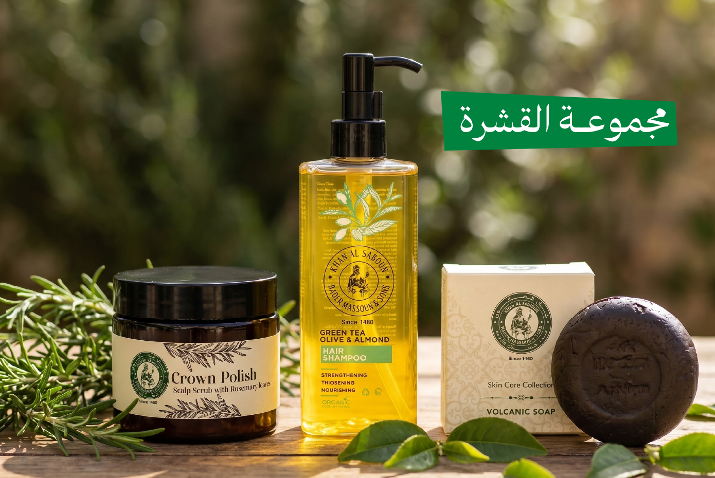 مجموعة القشرة